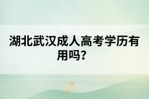 湖北武汉成人高考学历有用吗？